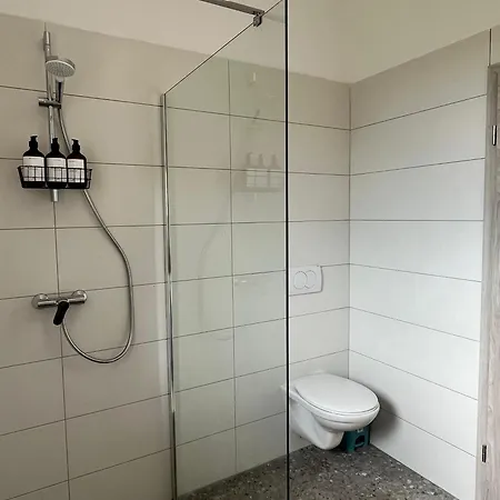 Franko Spacious House With A Pool בית נופש