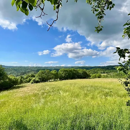 Franko Spacious House With A Pool * Obrov