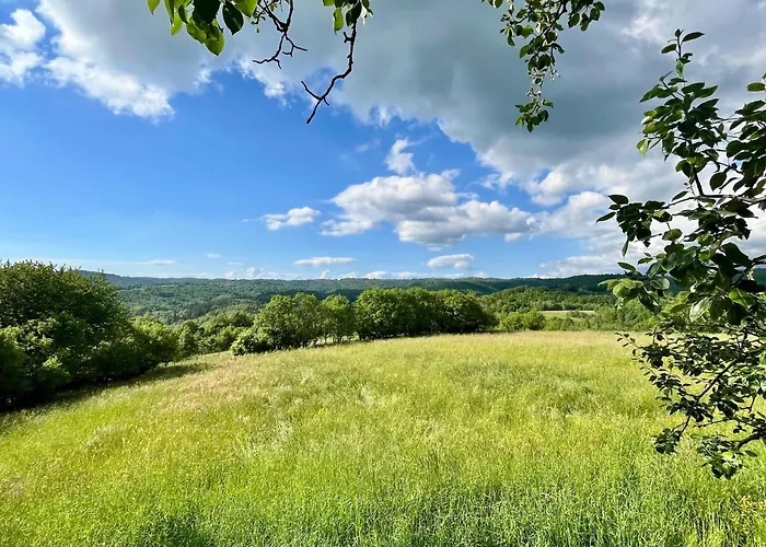 Franko Spacious House With A Pool * Obrov